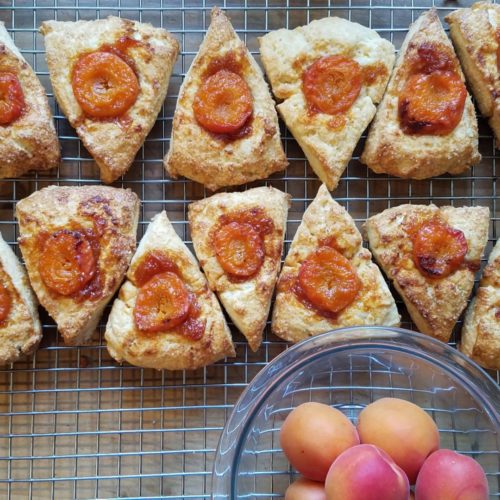 20200711_075448 20200711_075448